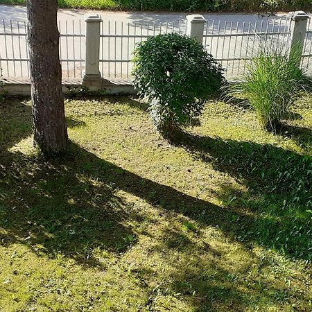 Apartmán Smjestaj Na Selu,Porodica Gvozdenac Sipovo Exteriér fotografie