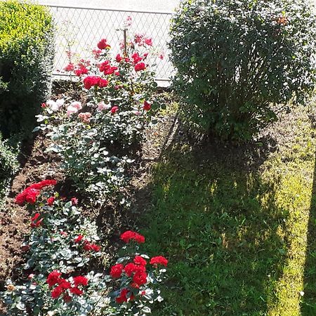Apartmán Smjestaj Na Selu,Porodica Gvozdenac Sipovo Exteriér fotografie