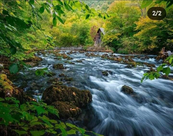 Apartmán Smjestaj Na Selu,Porodica Gvozdenac Sipovo Exteriér fotografie