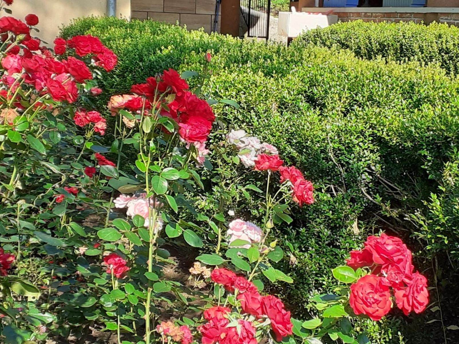 Apartmán Smjestaj Na Selu,Porodica Gvozdenac Sipovo Exteriér fotografie